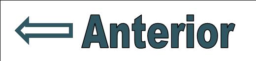ANTERIOR.jpg