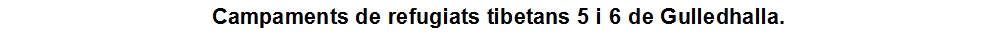Campaments de refugiats tibetans 5 i 6 de Gulledhalla.