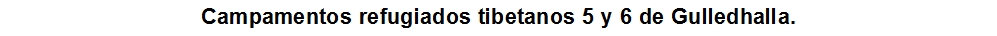 Campamentos refugiados tibetanos 5 y 6 de Gulledhalla.
